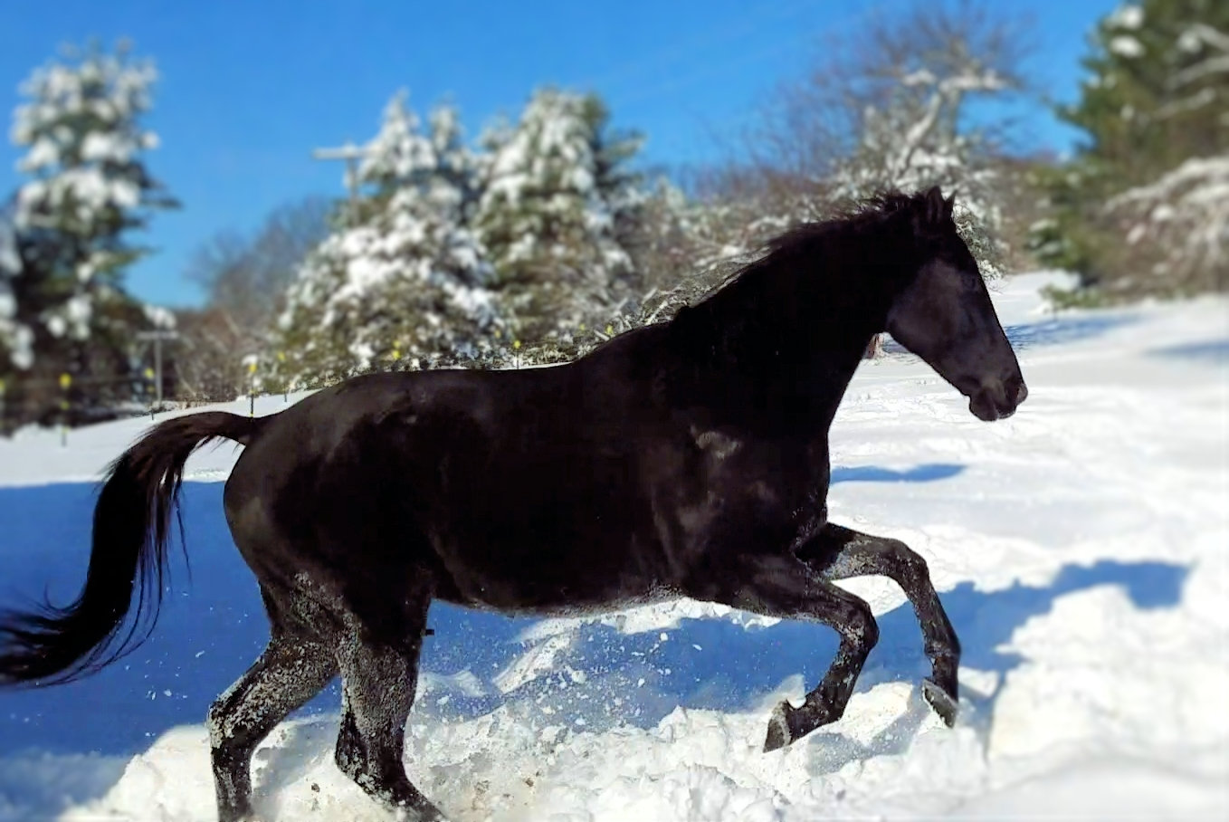 Screenshot_20191203-130113_Video Player