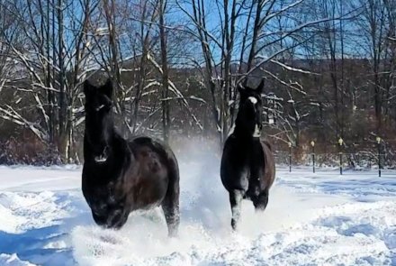 Screenshot_20191203-130720_Video Player