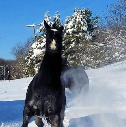 Screenshot_20191203-130853_Video Player