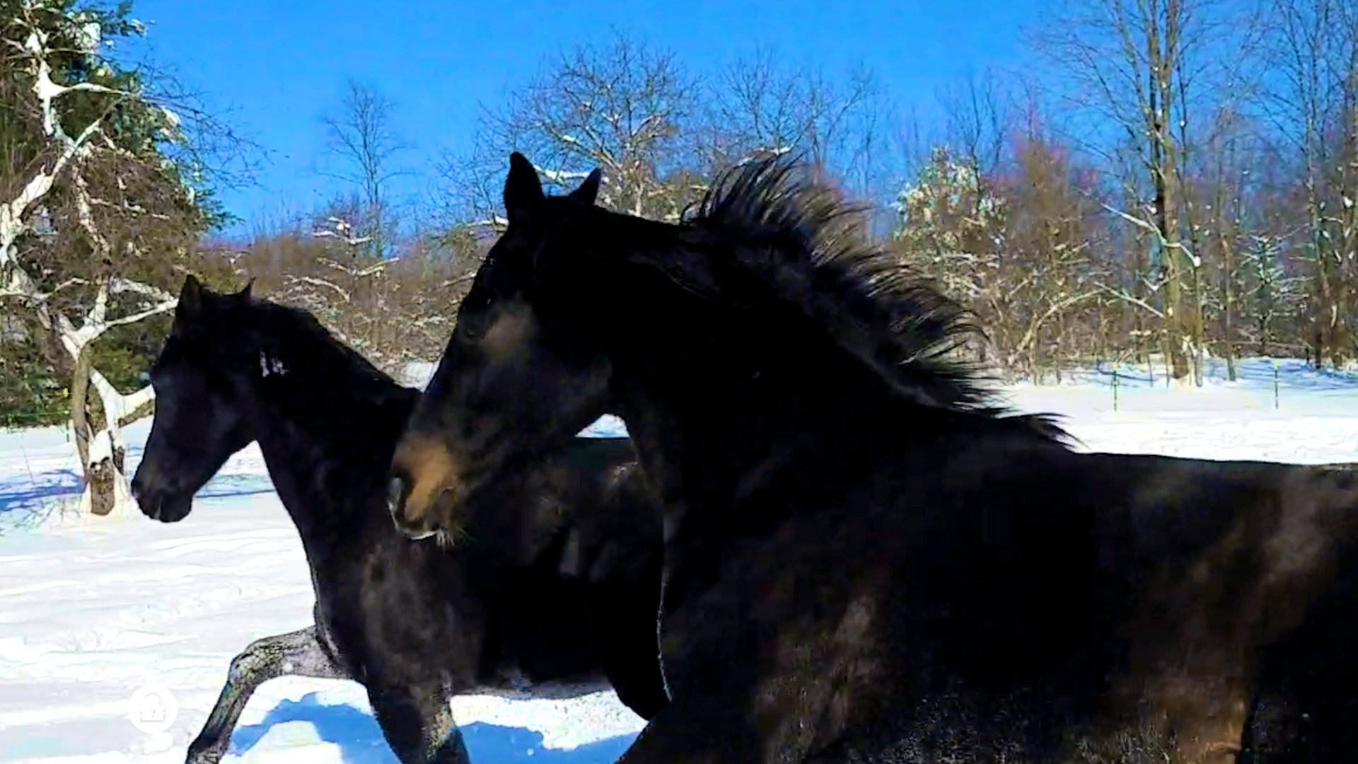 Screenshot_20191203-130906_Video Player