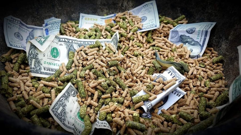 The Cost of Going Grain&nbsp;Free