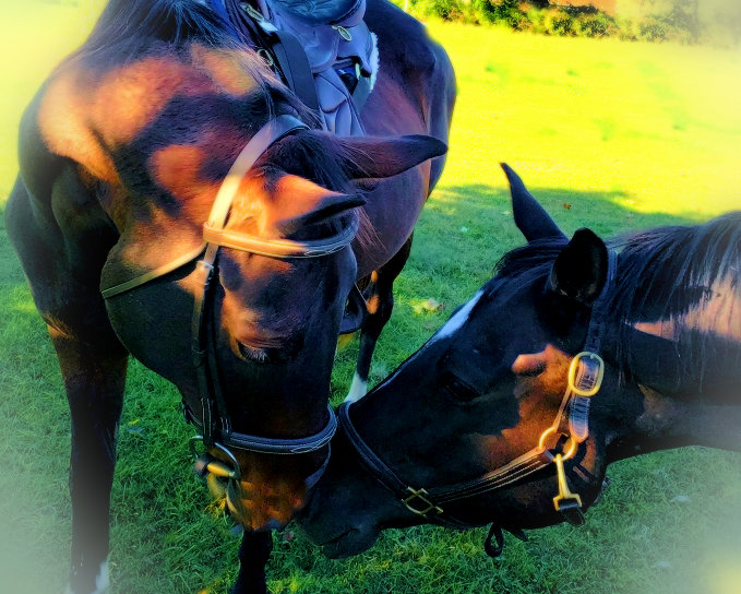 Resized_20190927_163718