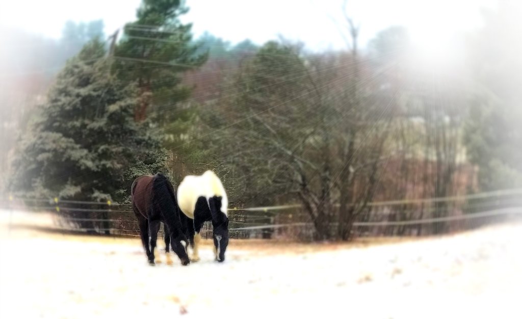 Wordless Wednesday –&nbsp;02/05/2020