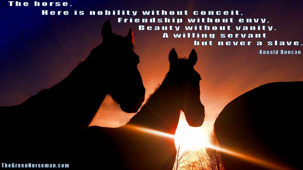 Wordless Wednesday –&nbsp;03/25/2020