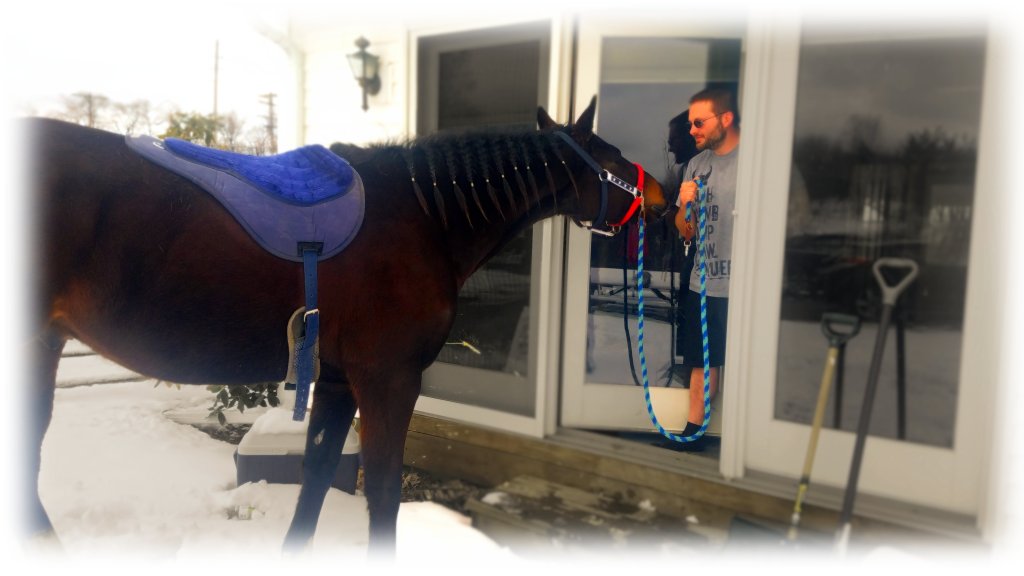 Wordless Wednesday –&nbsp;04/08/2020