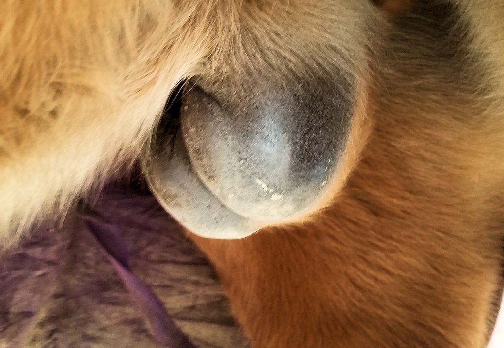 This image has an empty alt attribute; its file name is 20190111_135918.jpg