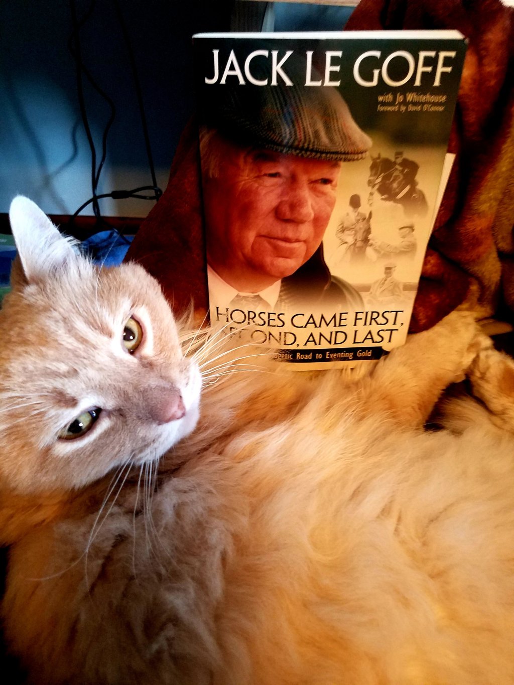 The Sunday Review: Horses Came First Second and&nbsp;Last