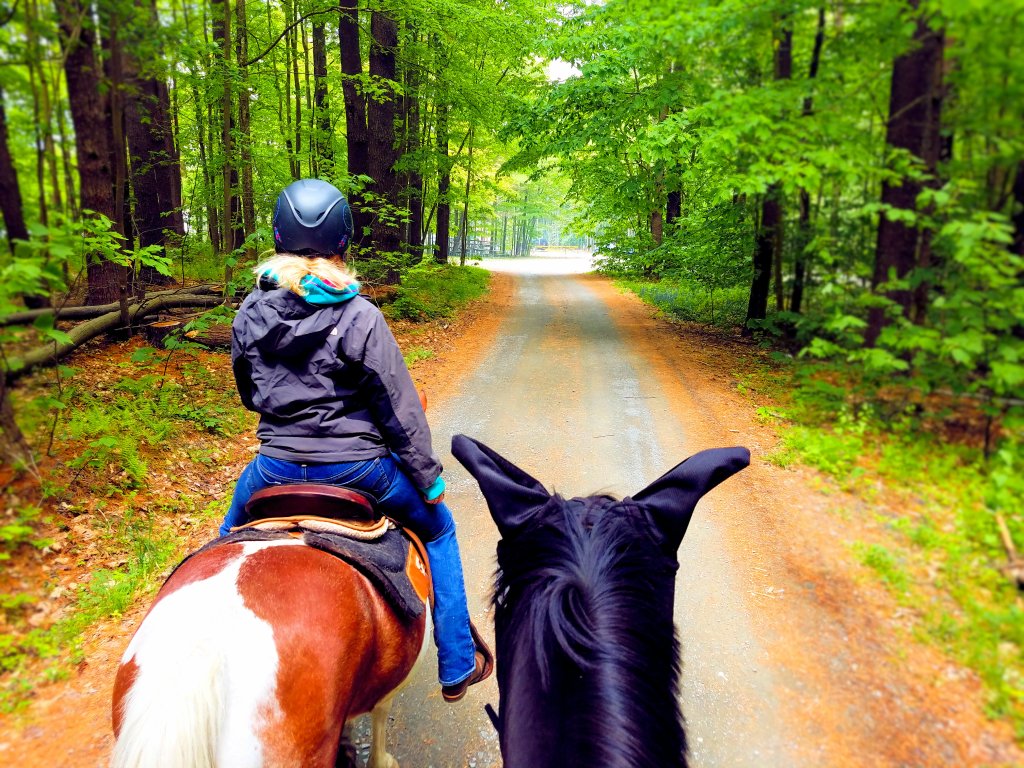 The Sunday Review: Noble Outfitters Perfect Fit Boot&nbsp;Socks