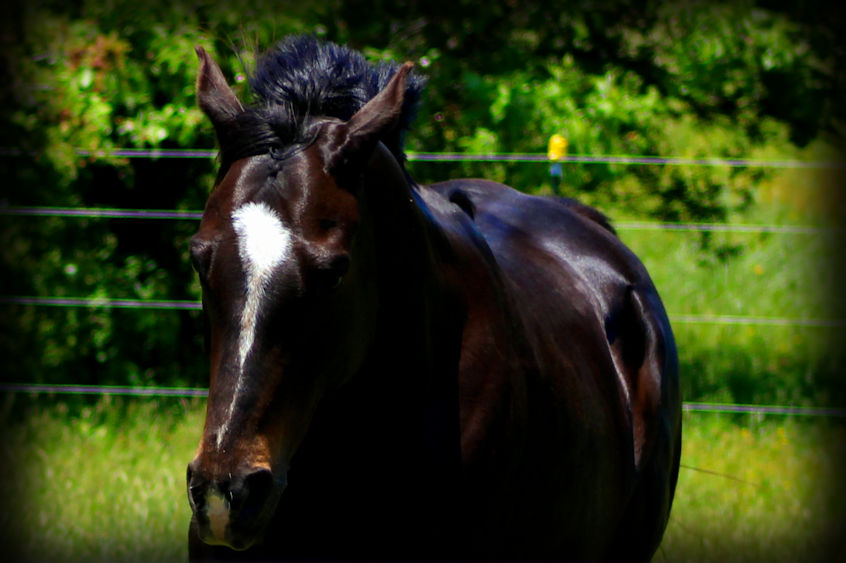 Wordless Wednesday –&nbsp;06/10/2020