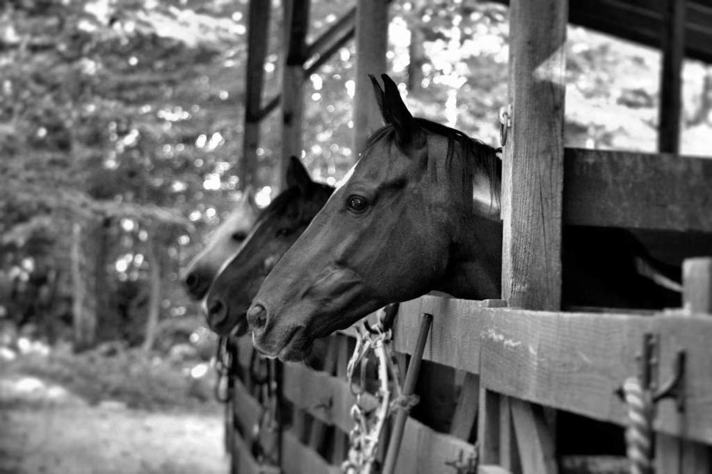 It’s OK to Just Be&nbsp;You