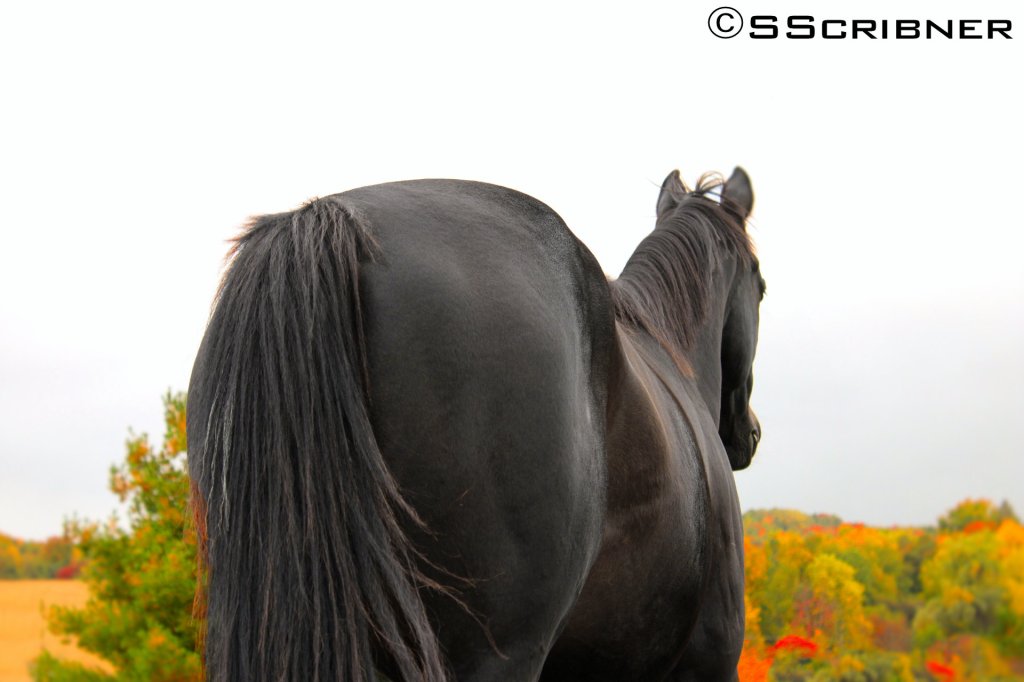 Wordless Wednesday –&nbsp;10/21/2020