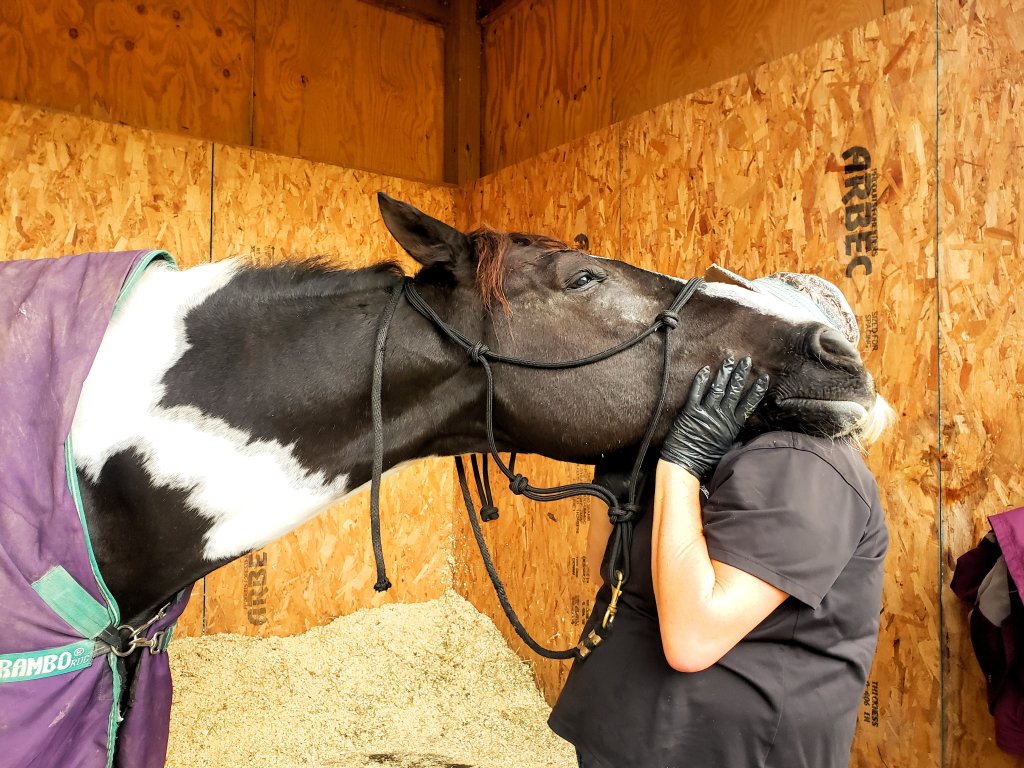 Winter’s Almost Over