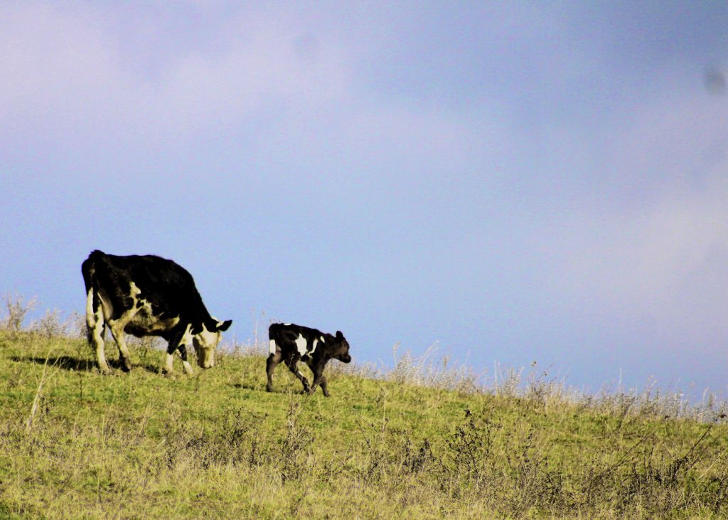 Wordless Wednesday –&nbsp;04/07/2021