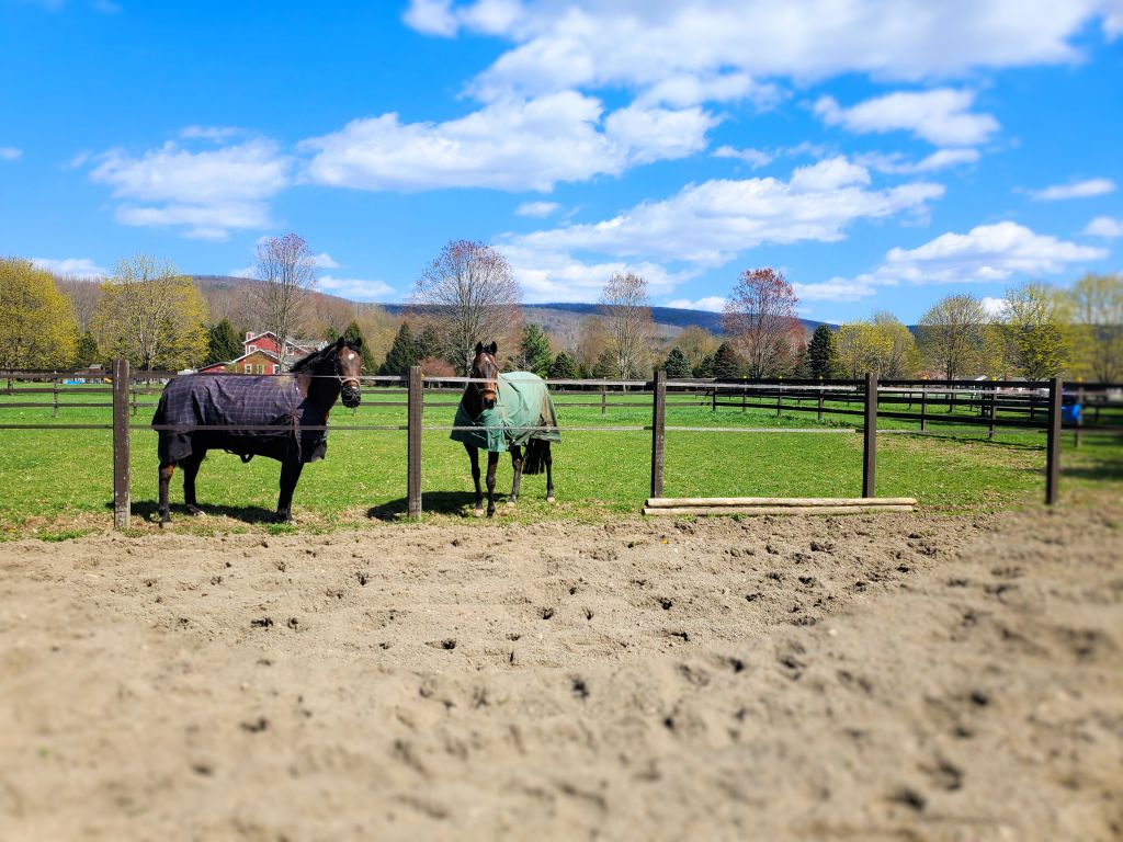 Wordless Wednesday –&nbsp;05/05/2021