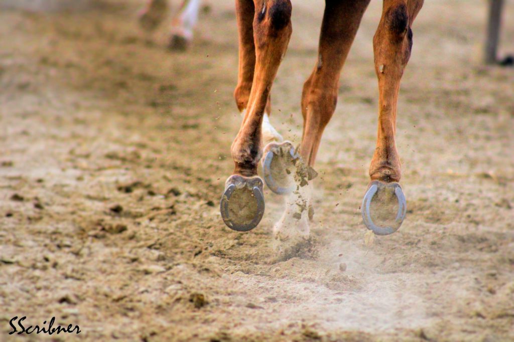 Wordless Wednesday –&nbsp;06/23/2021