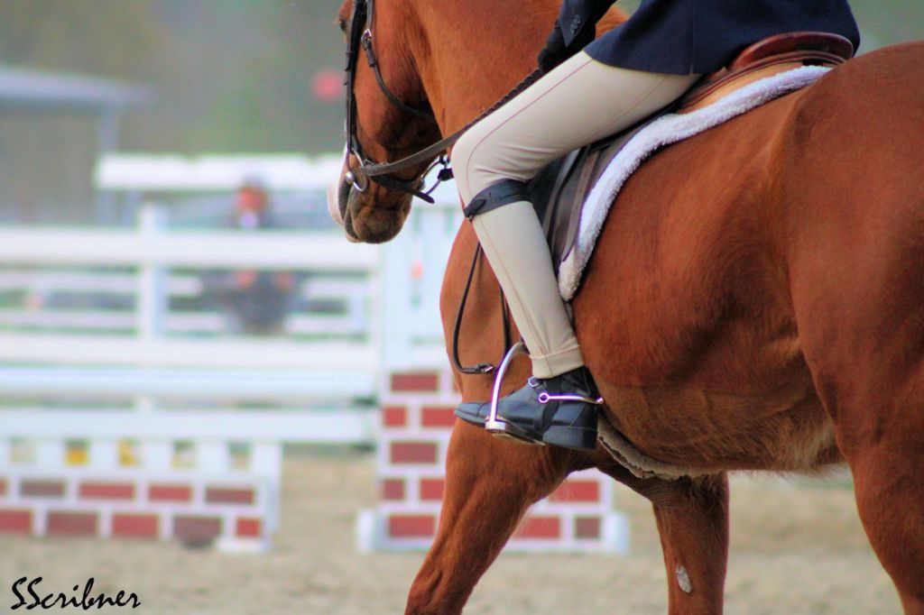 Wordless Wednesday –&nbsp;06/16/2021