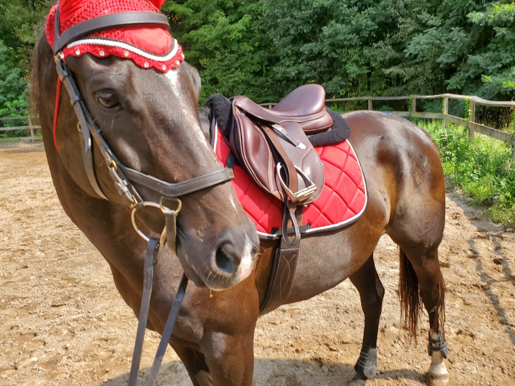 The Sunday Review: NEW Tack Of the Town Subscription&nbsp;Box