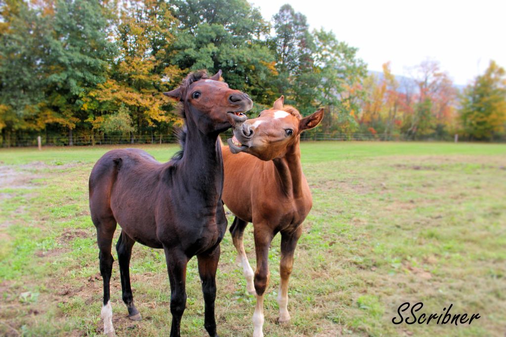 On the Business&nbsp;End
