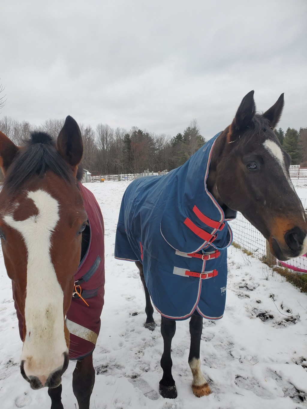 Winter 2022/Early 2023