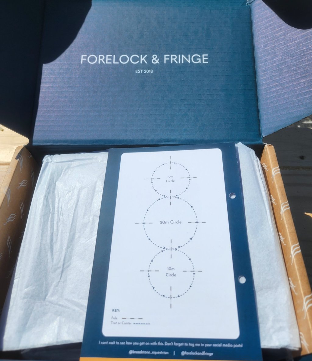 The Sunday Review: Forelock and&nbsp;Fringe