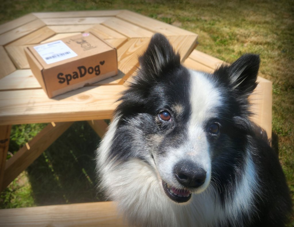 The Sunday Review:  Spa Dog&nbsp;Box