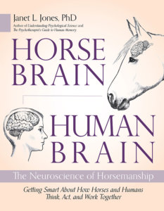 The Sunday Review: Horse Brain Human Brain by Janet Jones,&nbsp;PhD