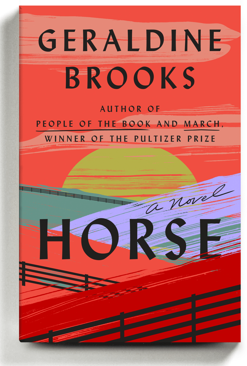 The Sunday Review: Horse By Geraldine&nbsp;Brooks