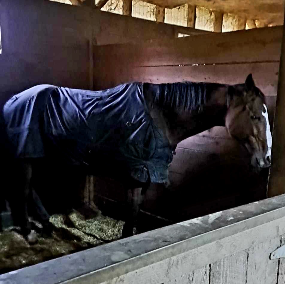 Stanley Doesn’t Feel&nbsp;Well