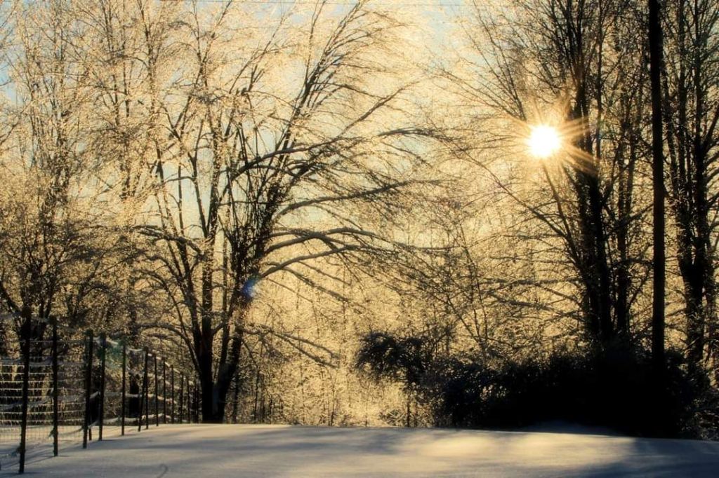 The Green Horseman’s Holiday&nbsp;Guide