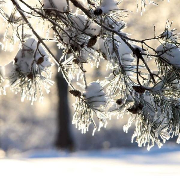 Gearing Up For Winter Storm&nbsp;Fern