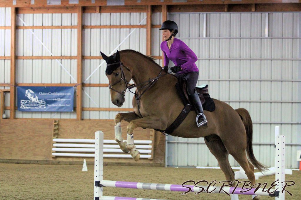 Learnings and Outings