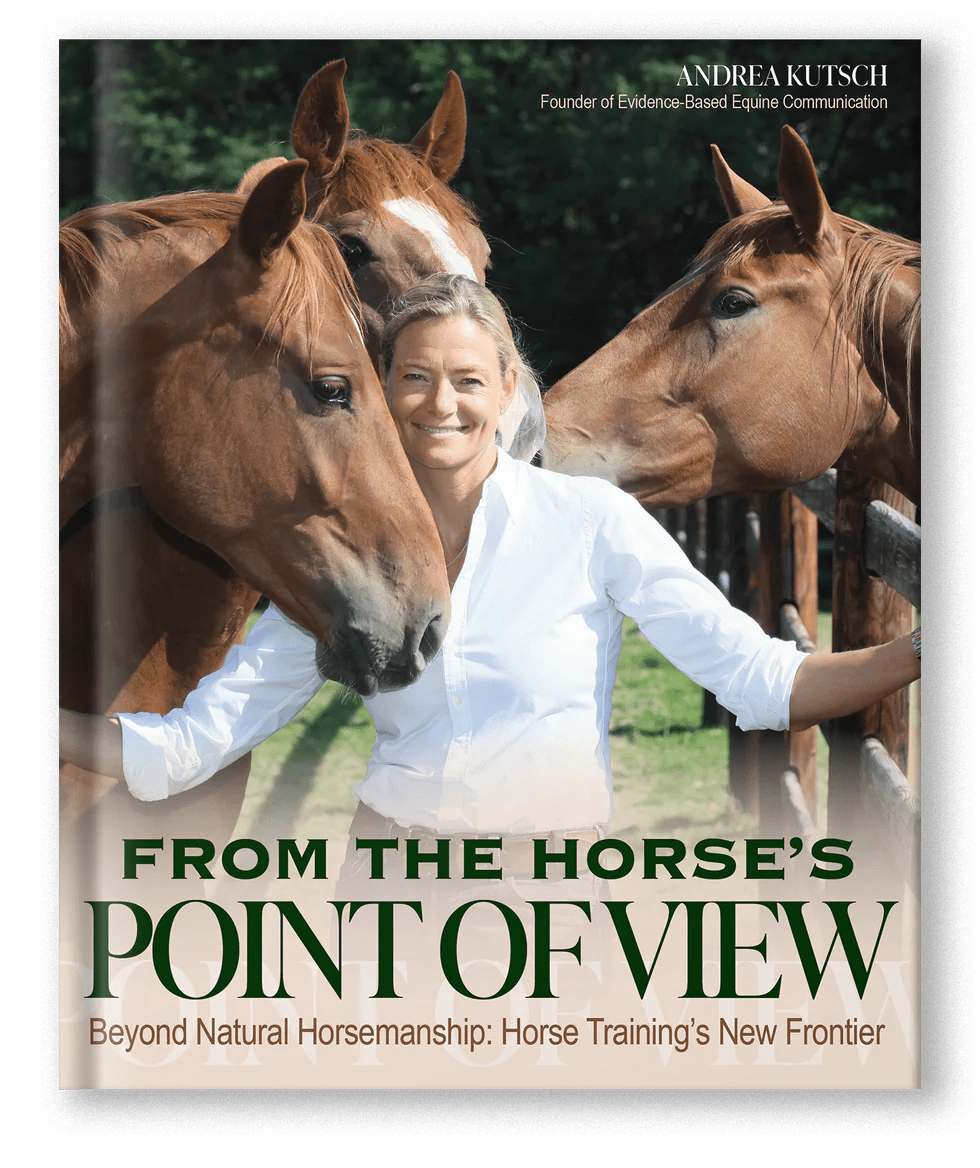 The Sunday Review: From the Horse’s Point Of&nbsp;View