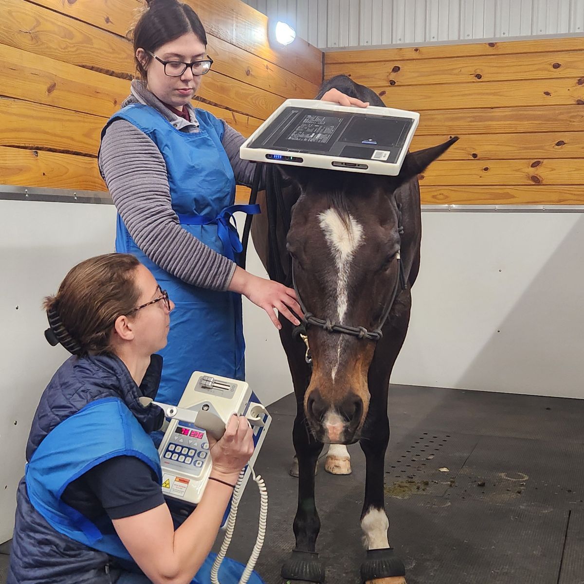 Are You Prepared?  Preparing Your Horse’s First Aid&nbsp;Kit