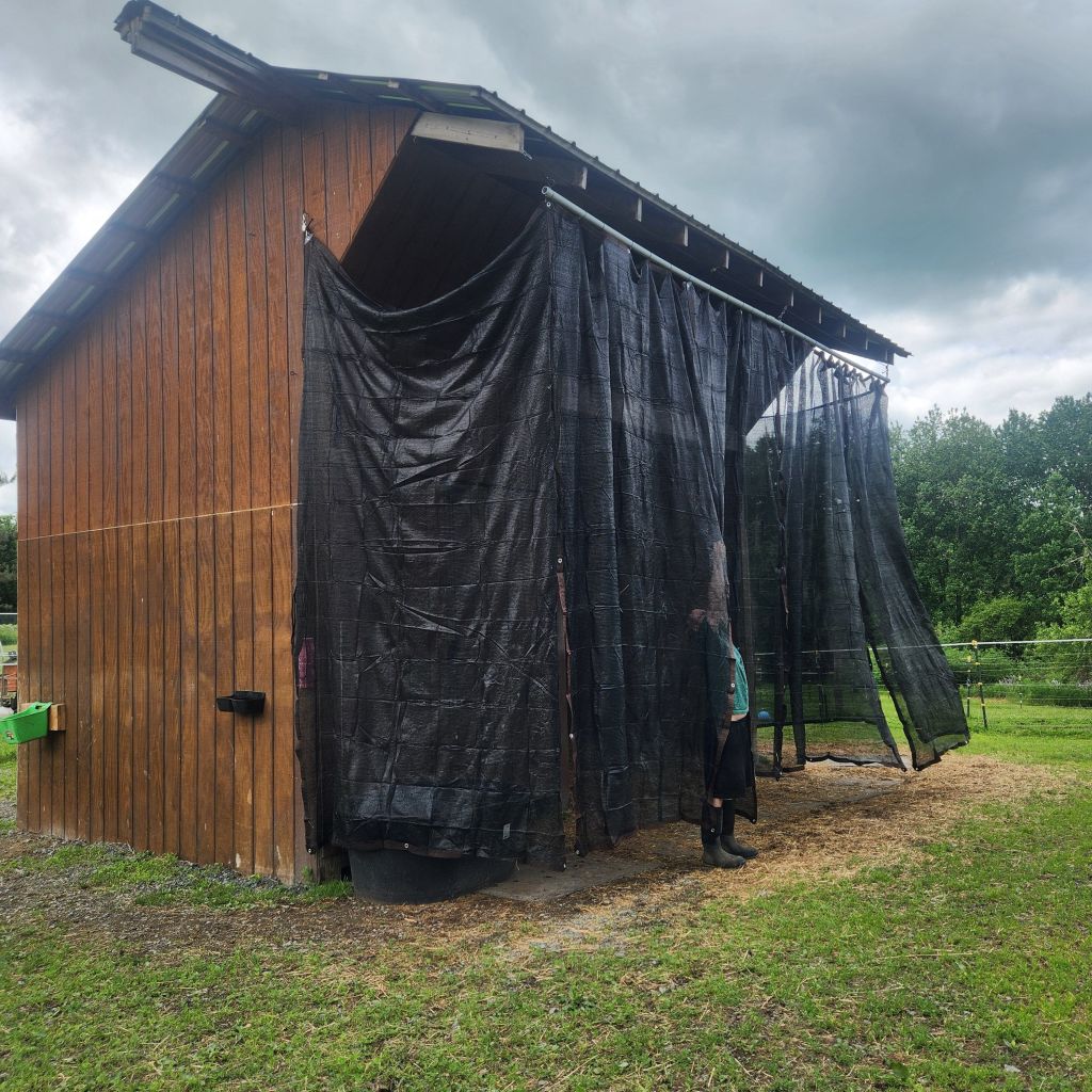 Work Smarter, Not&nbsp;Harder