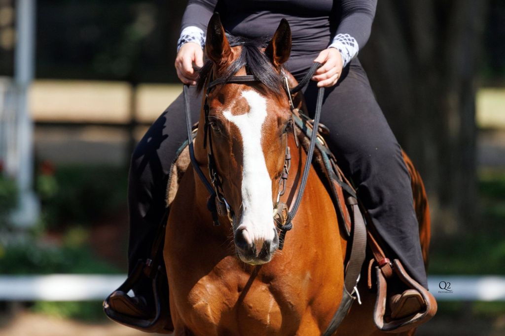 A Western Stanley on&nbsp;Centerline