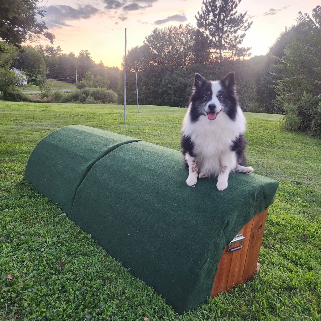 Woodworking with Wahbee