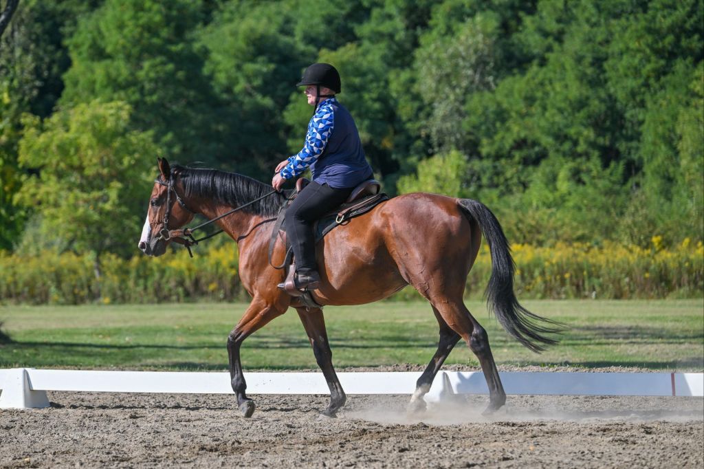 Suceeding With Stanley
