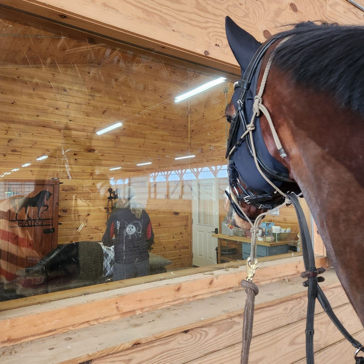 In The Name of The Horse: Tackling Self Care to Overcome Rider&nbsp;Imbalances