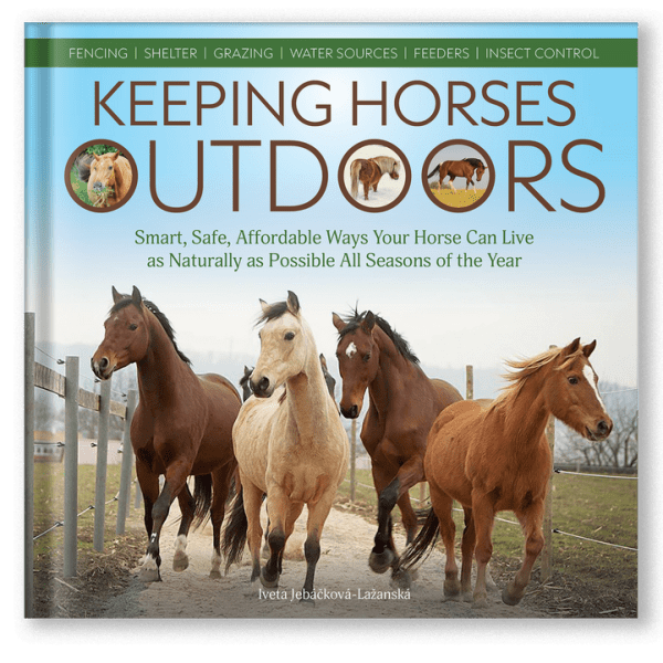 The Sunday Review: Keeping Horses&nbsp;Outdoors