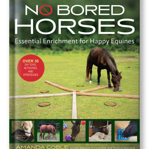 The Sunday Review: No Bored&nbsp;Horses