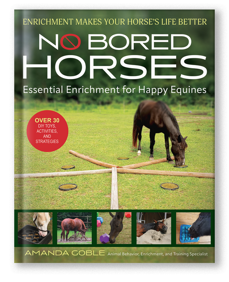 The Sunday Review: No Bored&nbsp;Horses