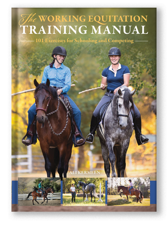 The Sunday Review: The Working Equitation Training Manual – The