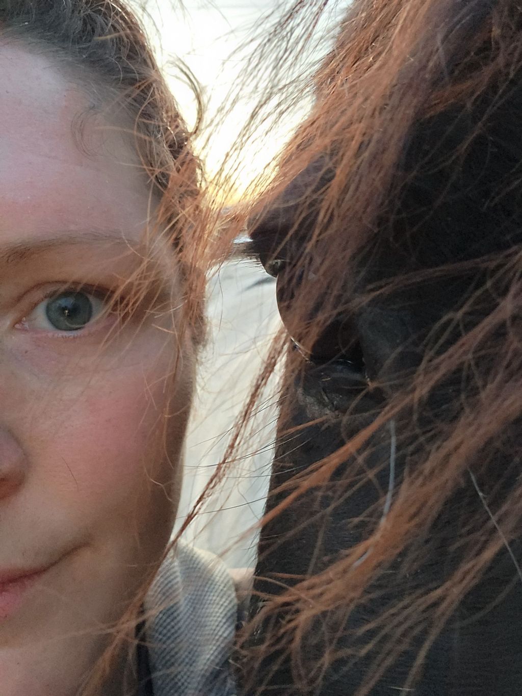 The Green Horseman’s Household&nbsp;Updates