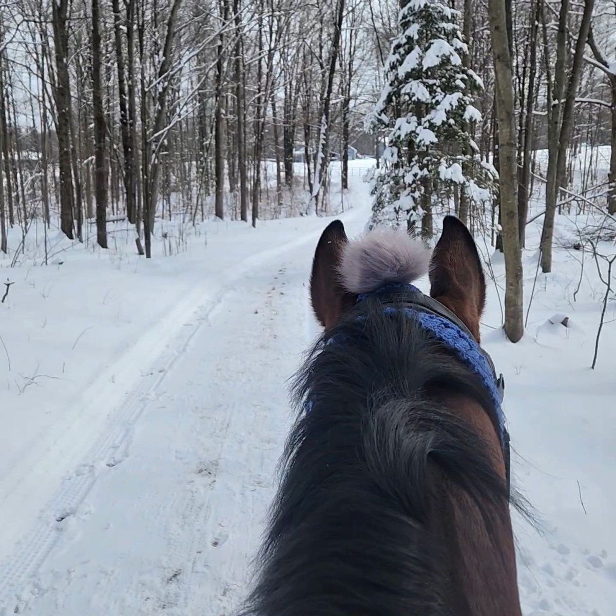 The End of Year&nbsp;Reflection