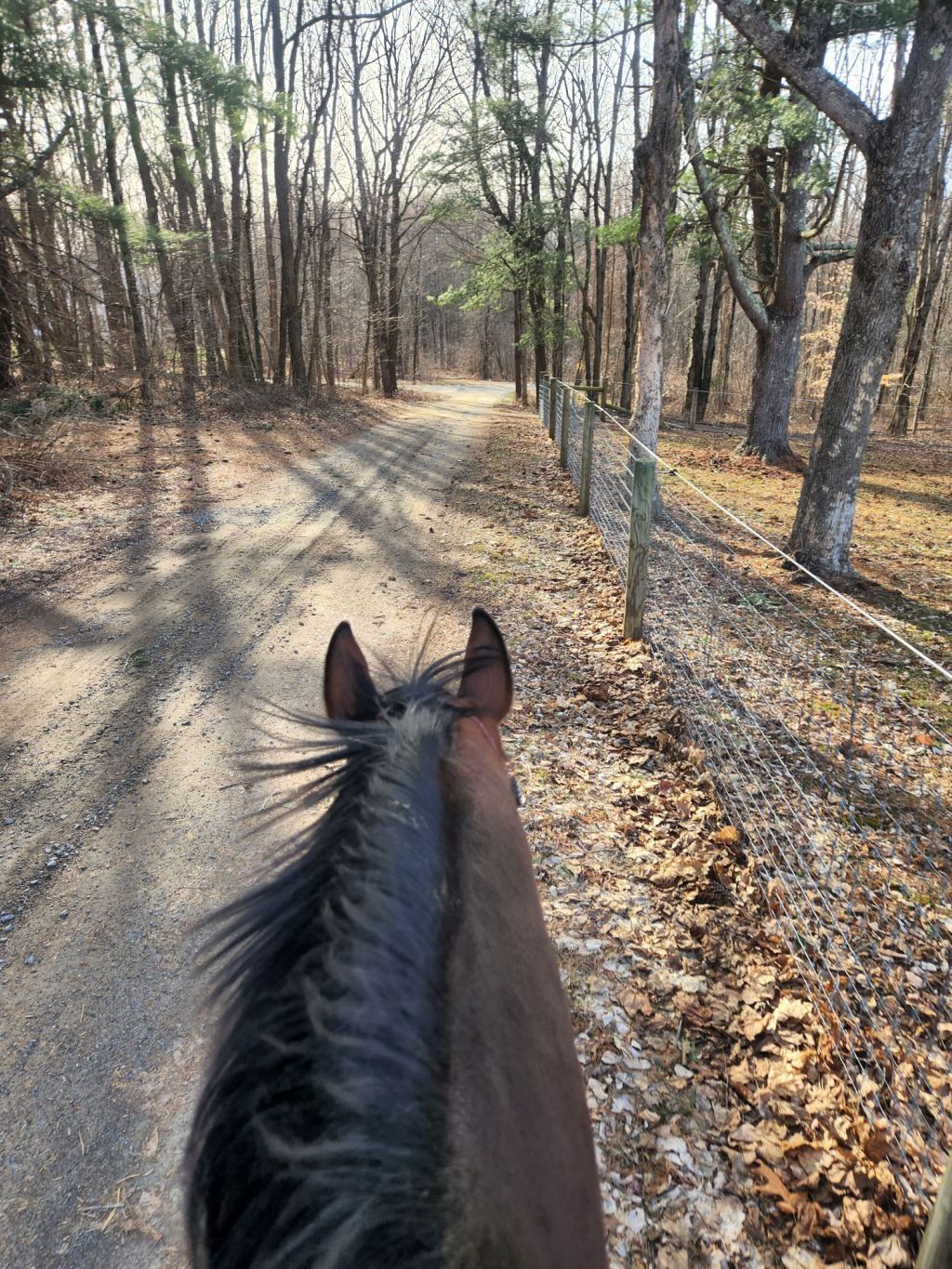 Riding into Spring and Our First Outing of&nbsp;2025