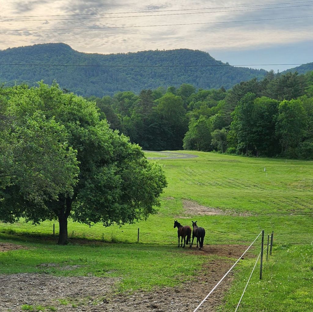 Following Up On Pet Preparedness&nbsp;Month