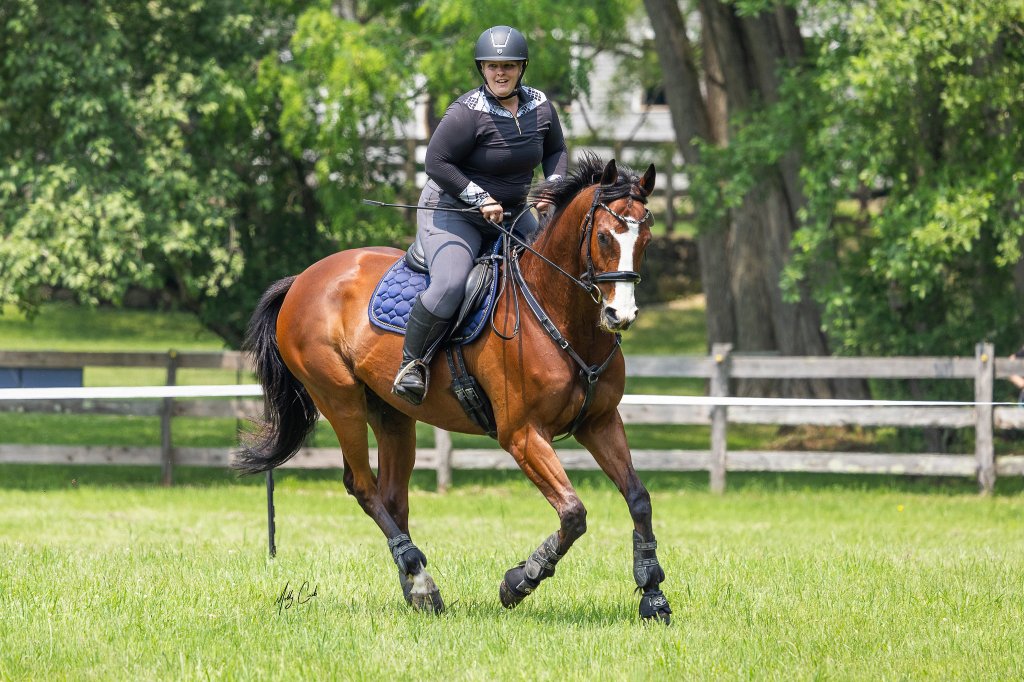 Back in Black&nbsp;(Tack)