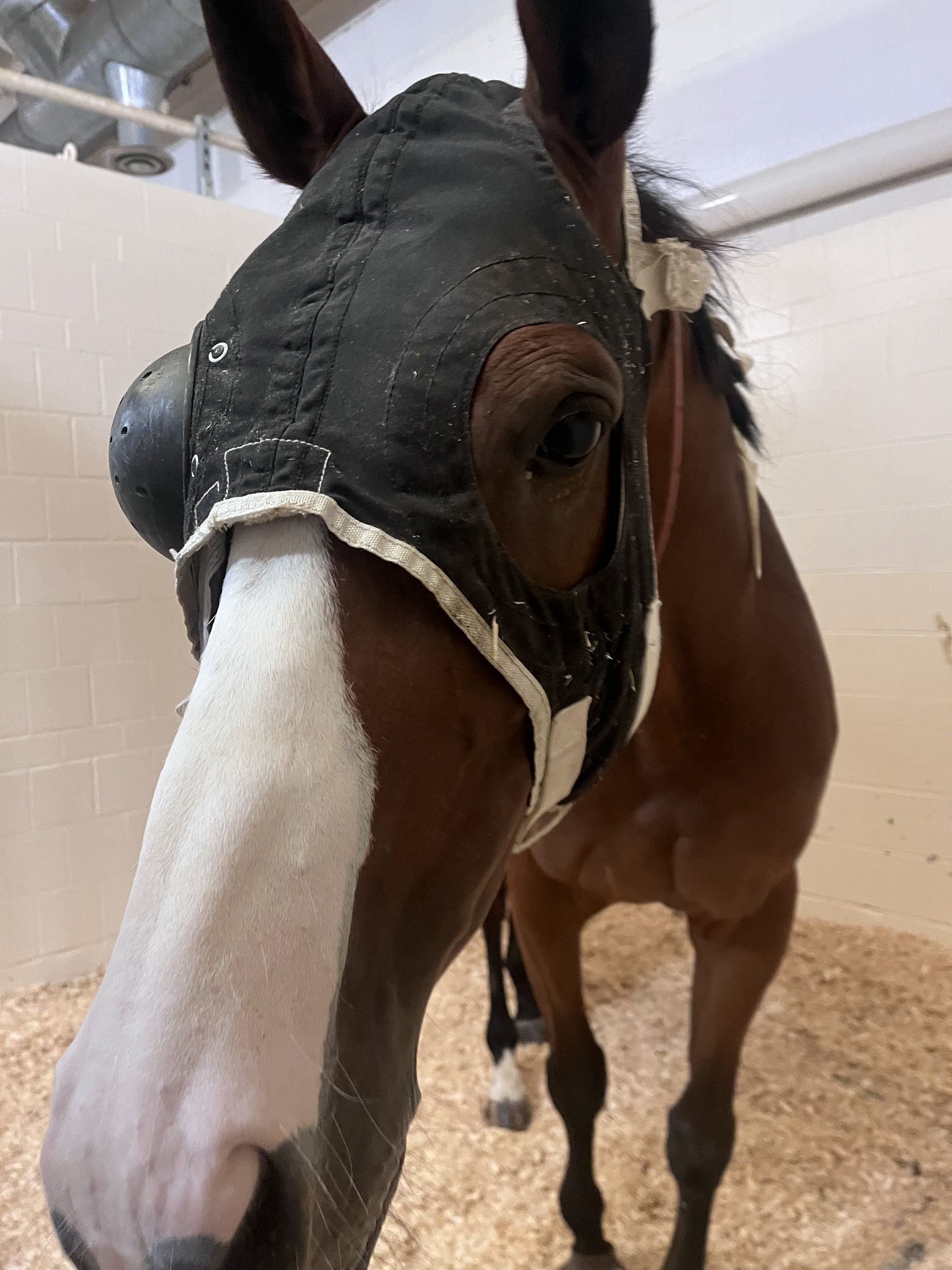 My Year So Far: Lessons in Resilience, Reflection, and&nbsp;Rationality