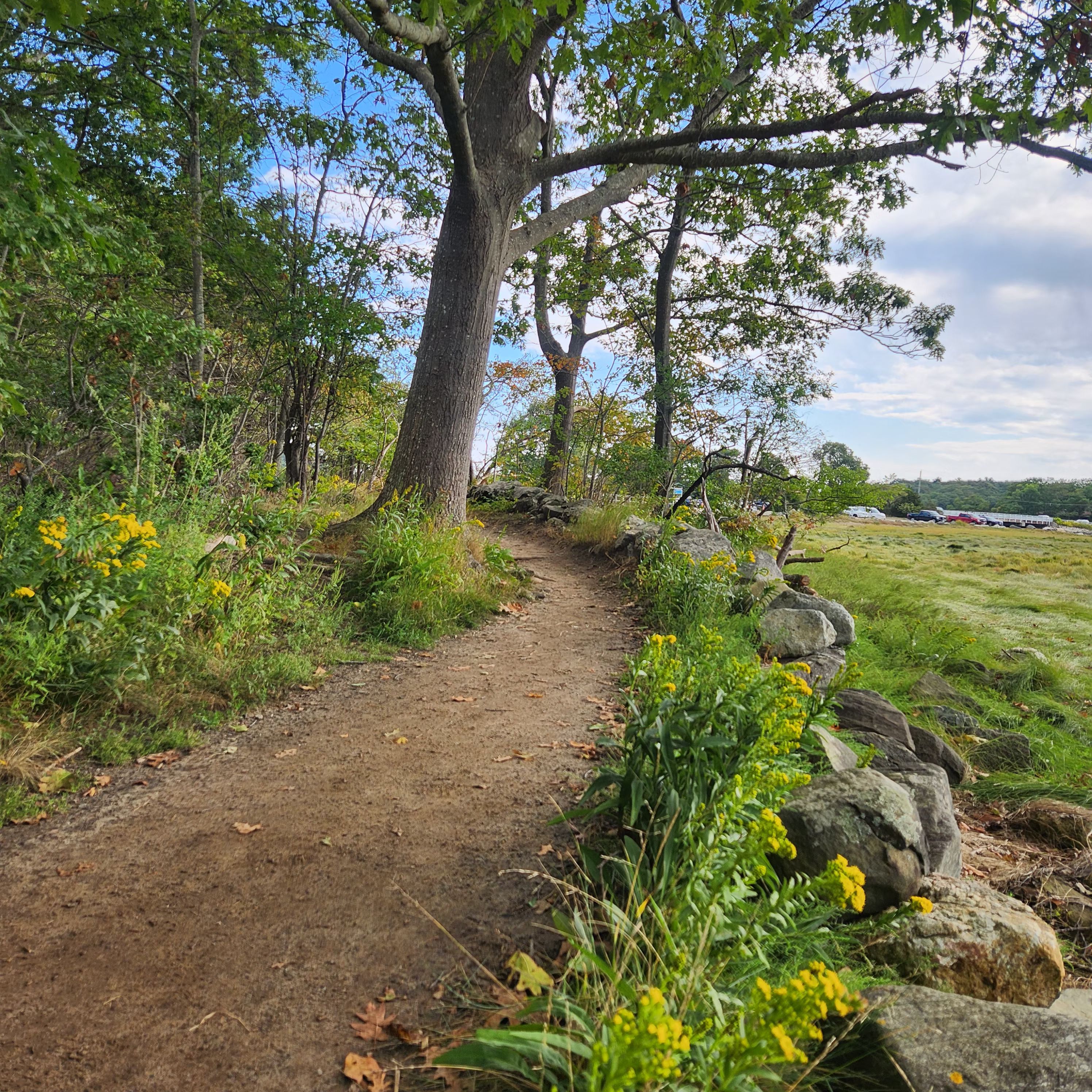 Backstory presented by Virtual Brush&nbsp;Box