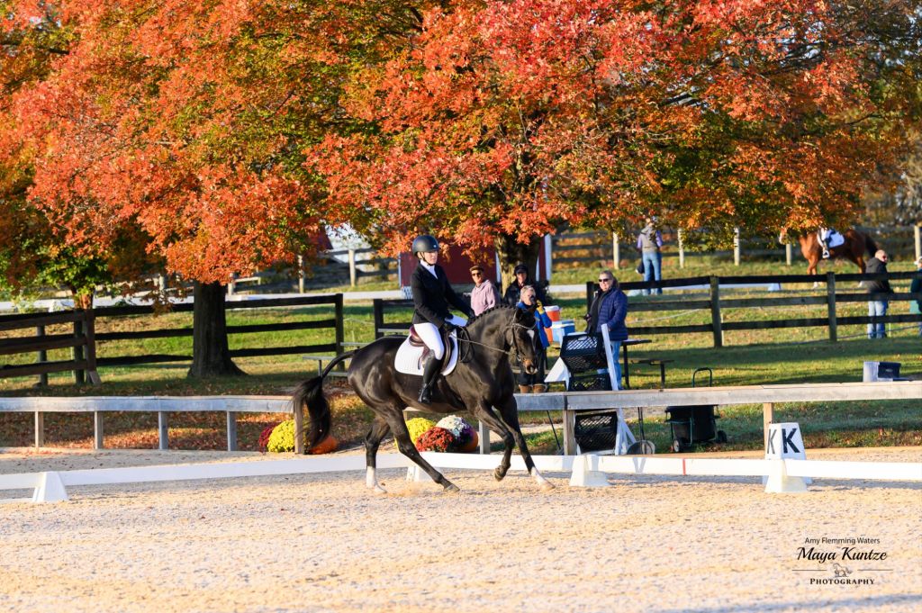 Classic: Day 3 & Two Thoroughbreds and a Fell Pony at Waredaca Classic Three Day Event